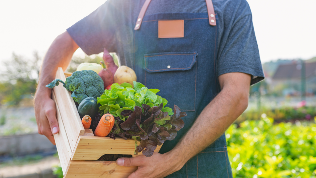 fruit and veg box